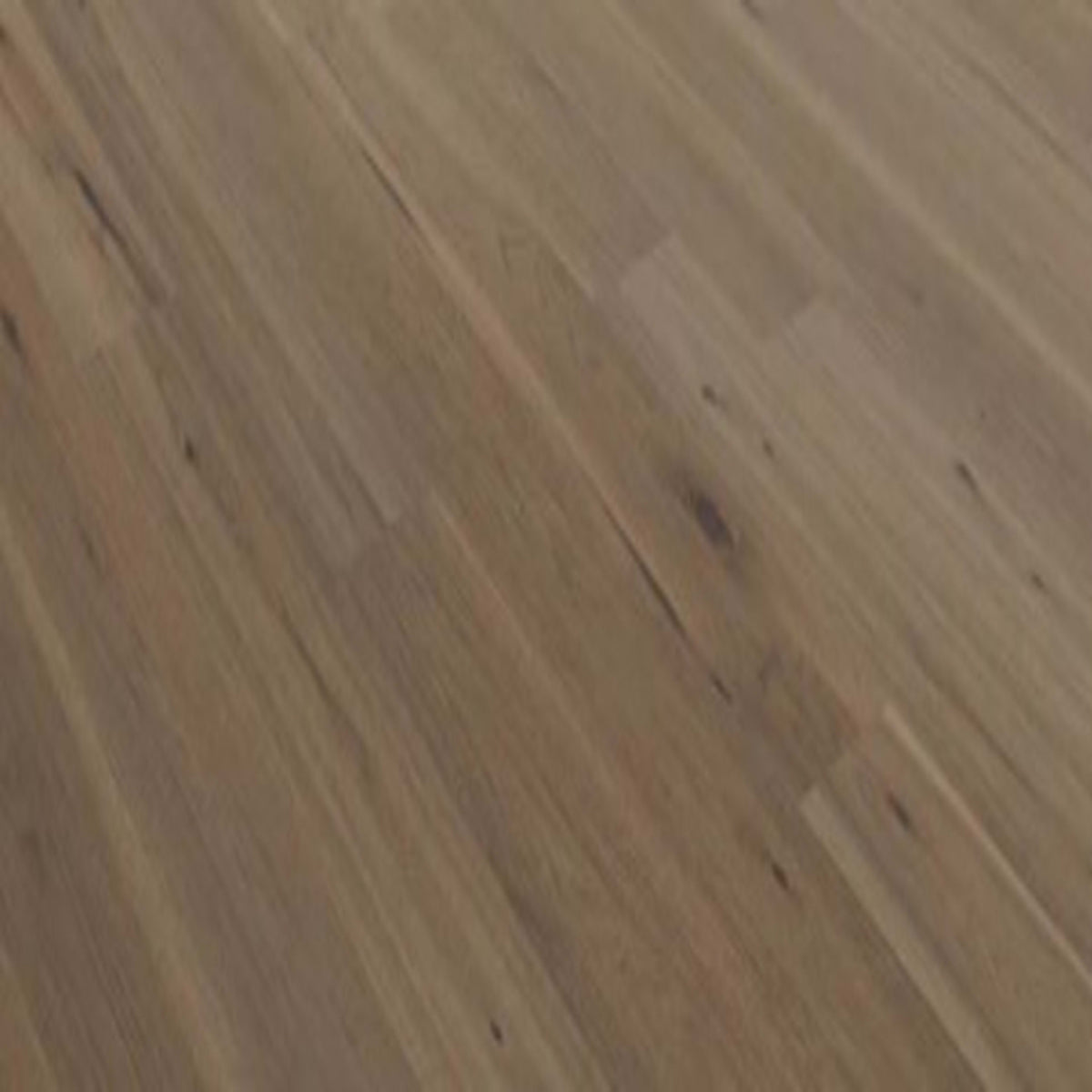 Nascent in Passel Hardwood