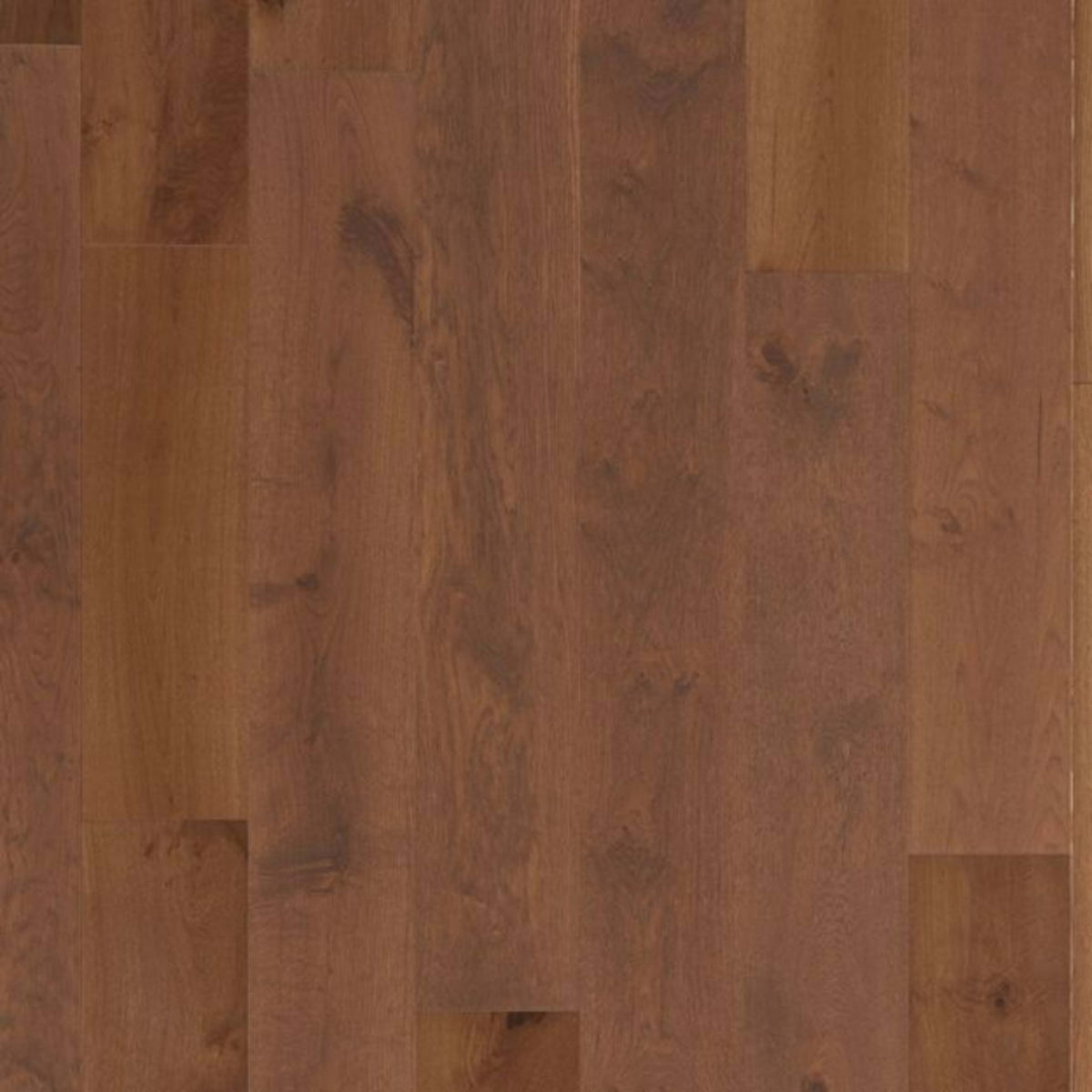 Hermitage in Oak - Tudor Hardwood