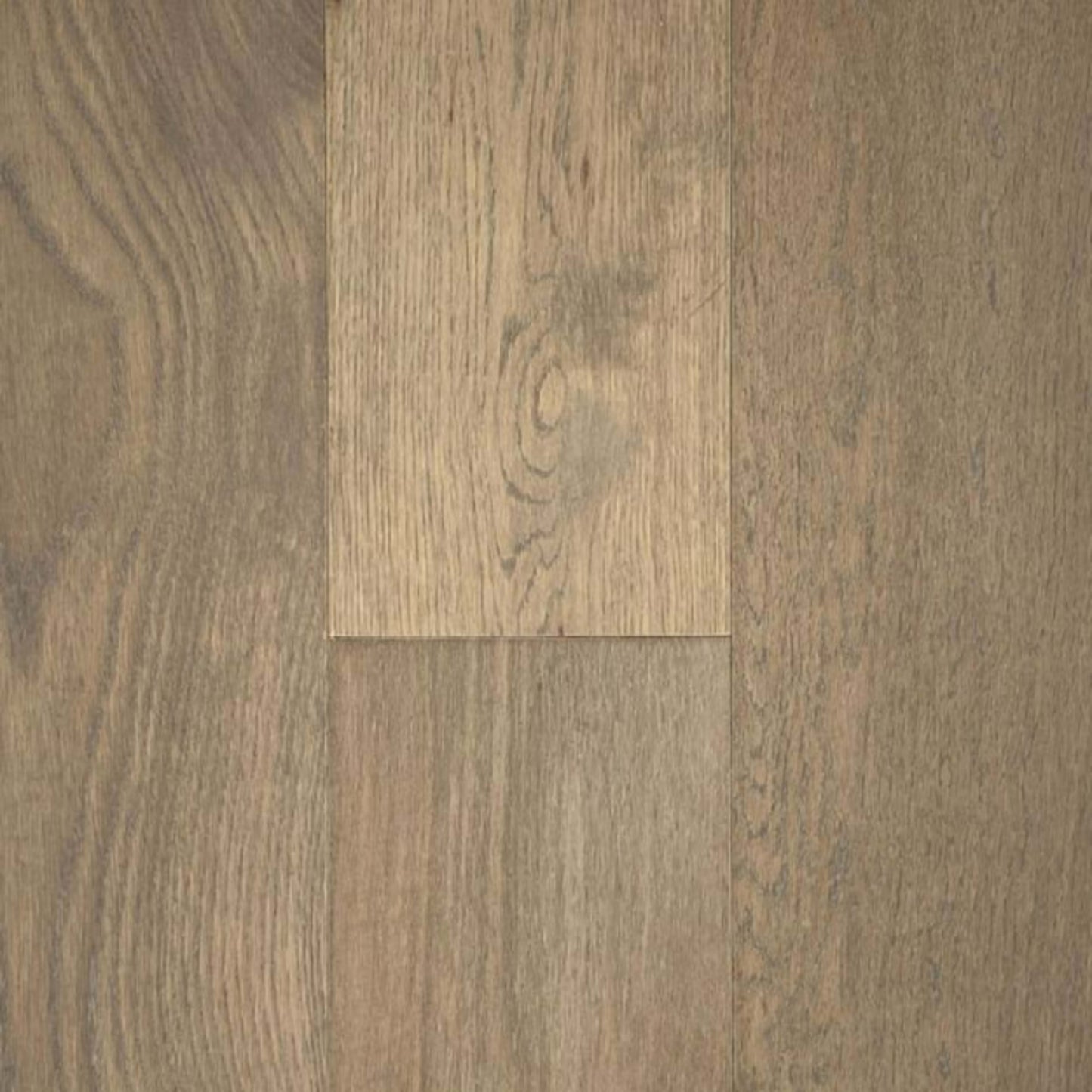 Bentley Premier in White Oak - Wam Autumn Hardwood