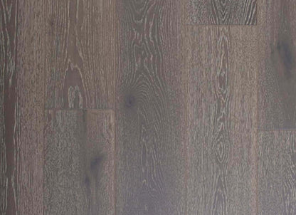 Karuna Collection in Cinta
