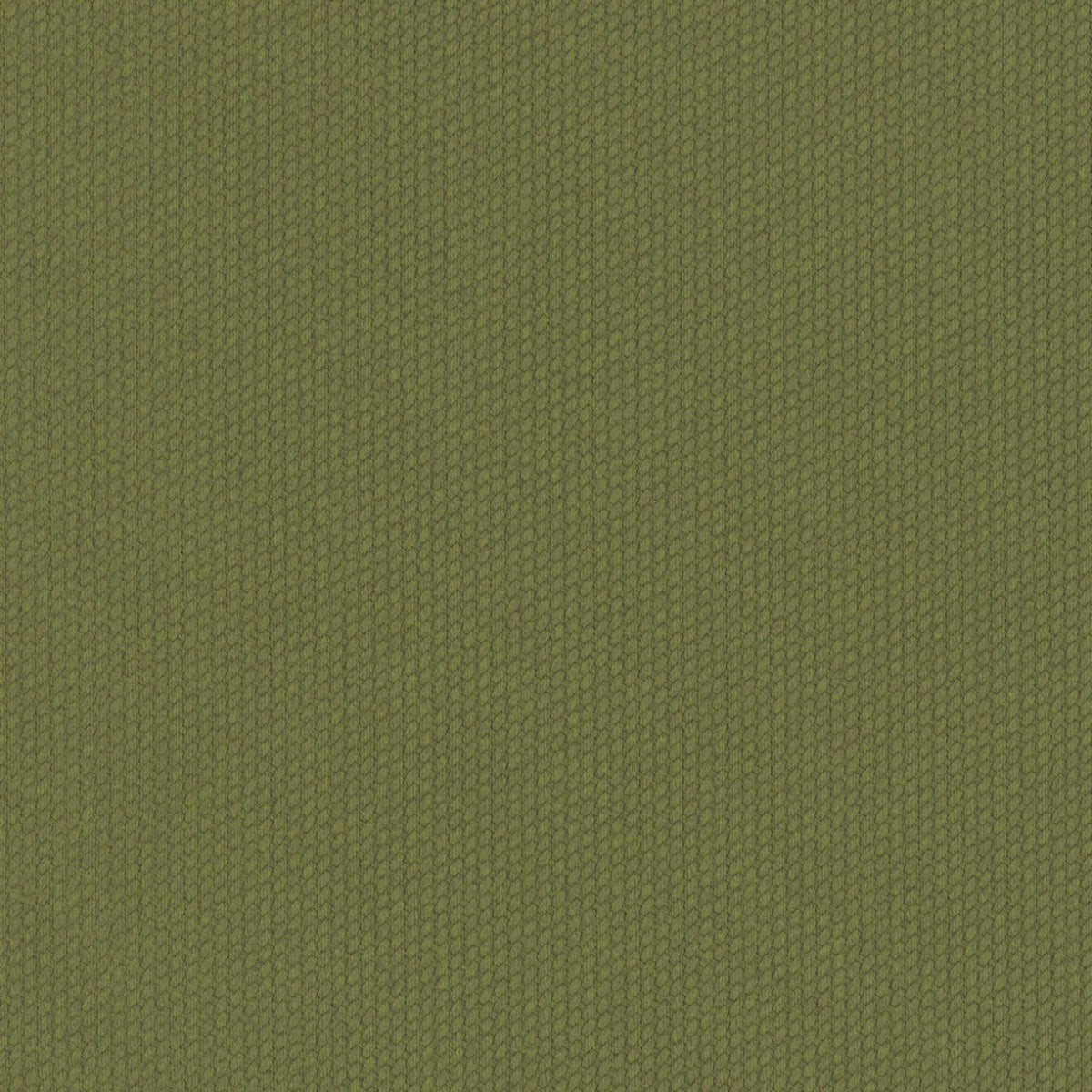 Dart 12x48