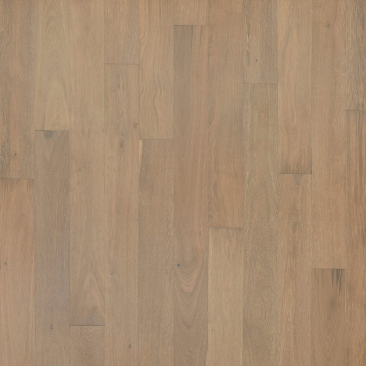 Entrevaux in Briar Wood Oak Hardwood