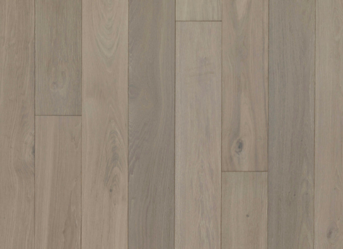 Entrevaux in Rockbridge Oak