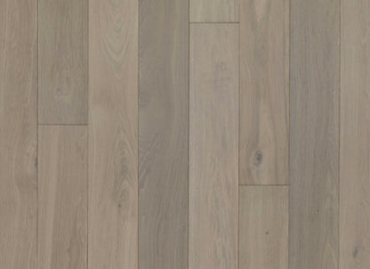 Entrevaux in Rockbridge Oak