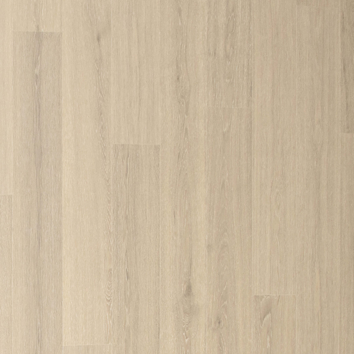 Andilet in Morning Fog Oak Laminate