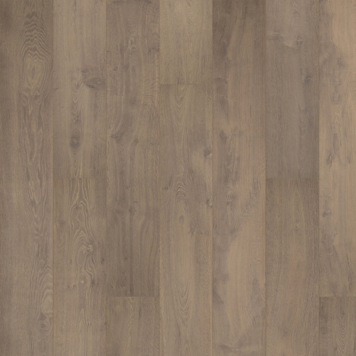 Chateau Leon in Merino Wool Oak Laminate