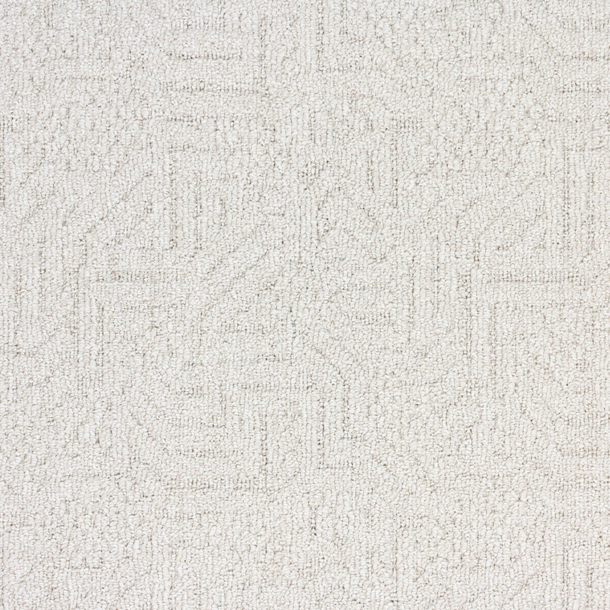 Kalahari in Ecosystem Carpet