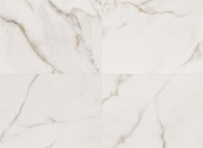Kaya in Calacatta Lucca - 24x24 Polished