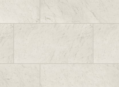 Kaya in Carrara Bianco - 24x48 Matte