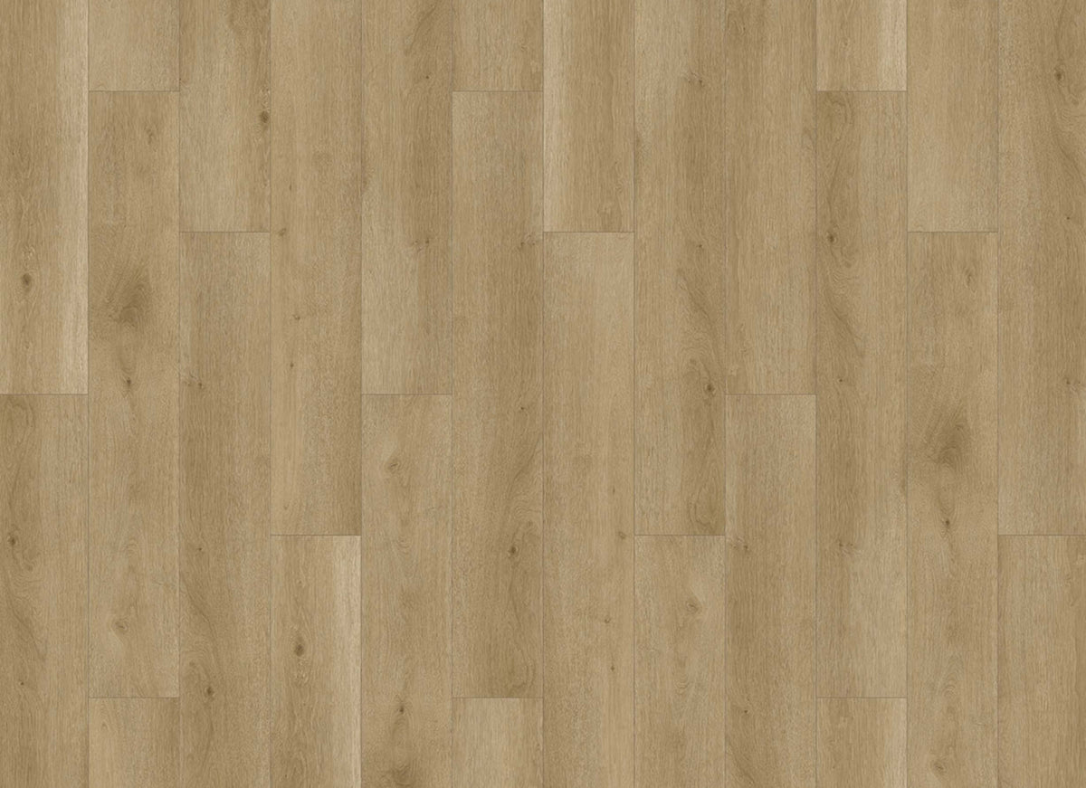 Innovious - Perceptions in Kingsley Oak