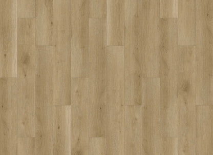 Innovious - Perceptions in Kingsley Oak