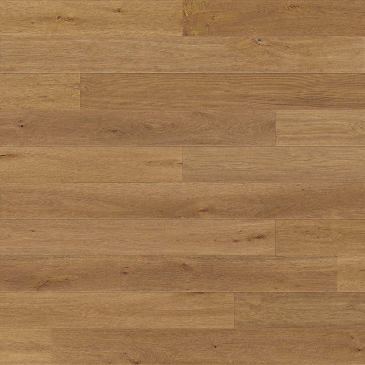 Renaissance in Klausen Hardwood