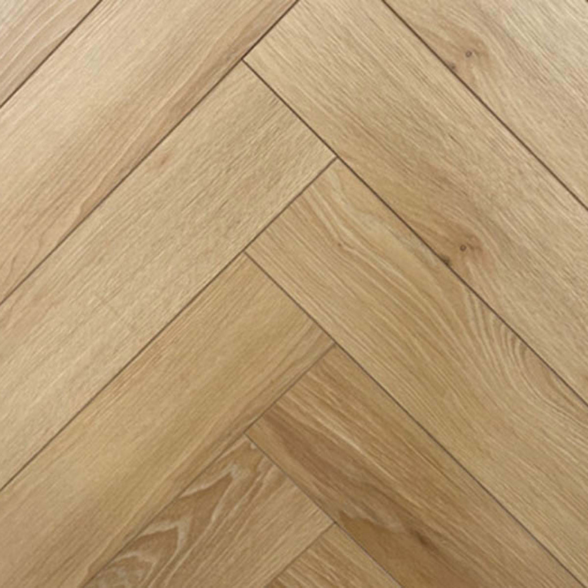 Preservation Collection in Little Rock Laminate