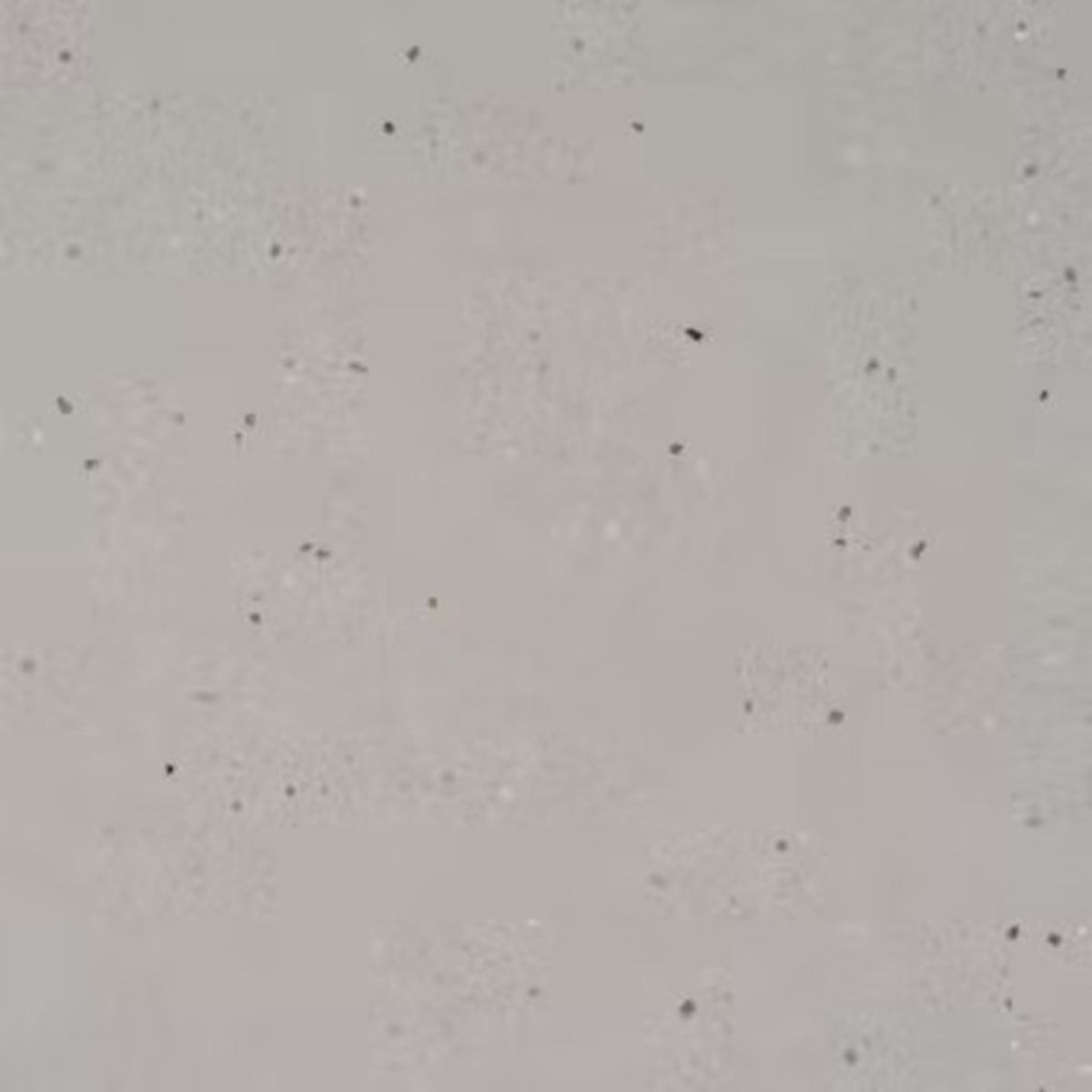 Silestone - Urban Crush in Concrete Pulse Solid Surface