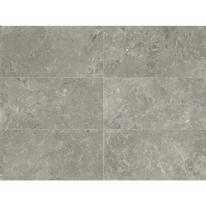 Lagos in Light Grey 24x48 Tile