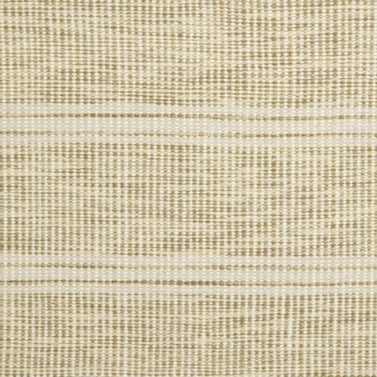 Las Palmas in Green Tea Carpet