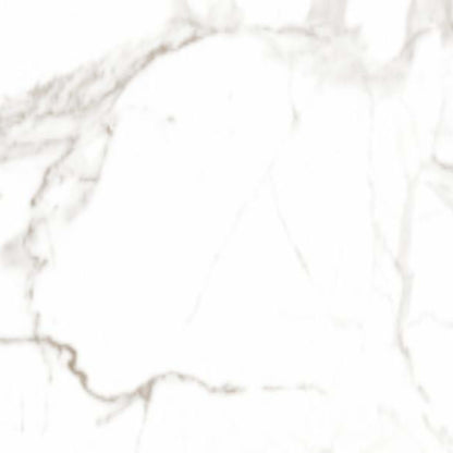 Lucca in Calcatta - 12x24 Tile
