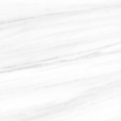 Lucca in Dolomite - 24x48 Tile