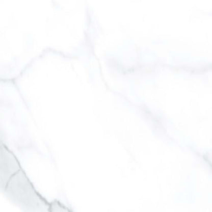 Lucca in Statuario  - 24x24 Tile