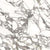 La Dolce Vita in Audrey Bianco - 24x48 Tile