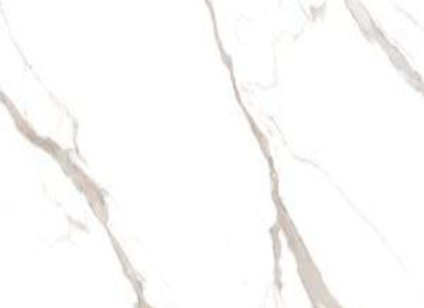 La Dolce Vita in Sophia Grigio - 12x24