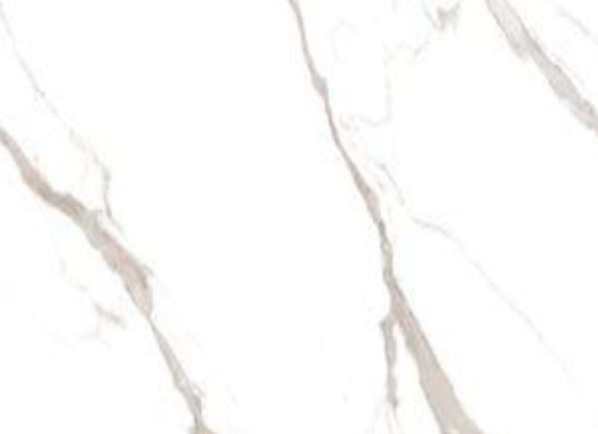 La Dolce Vita in Sophia Grigio - 24x48