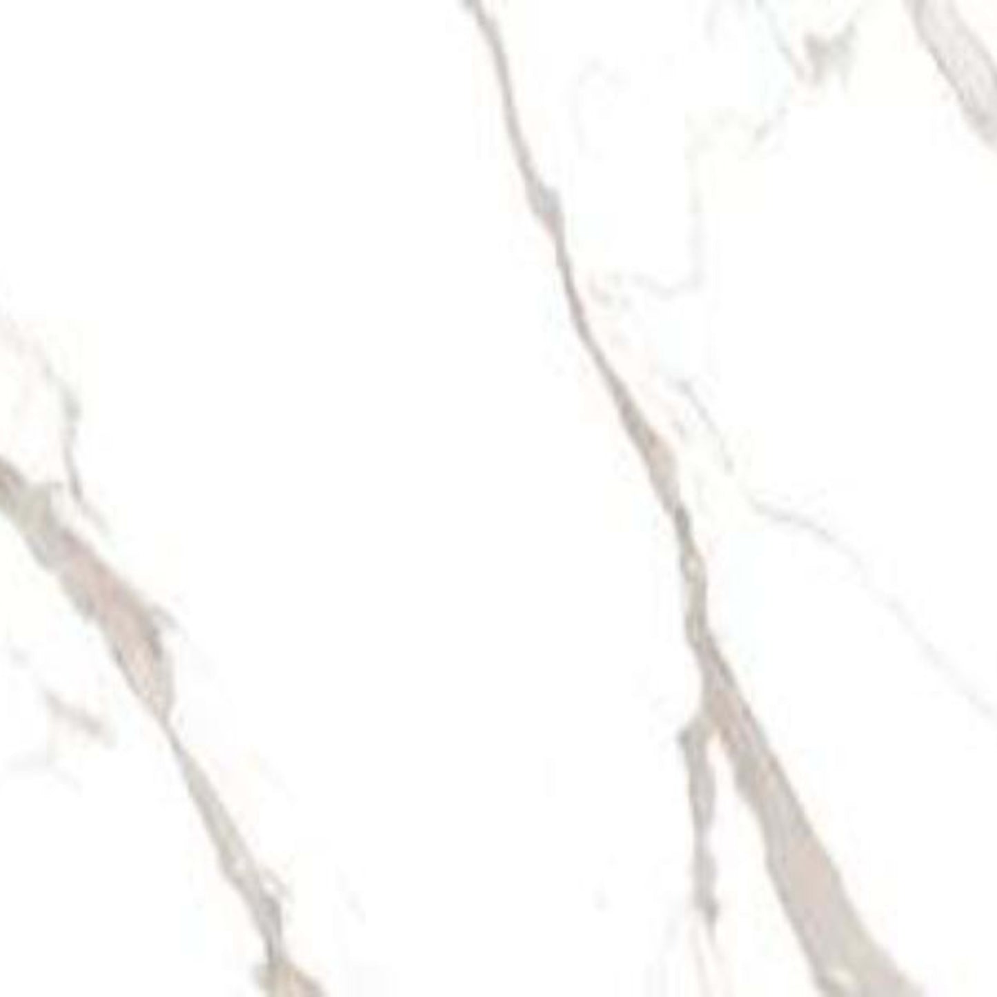 La Dolce Vita in Sophia Grigio - 12x24 Tile