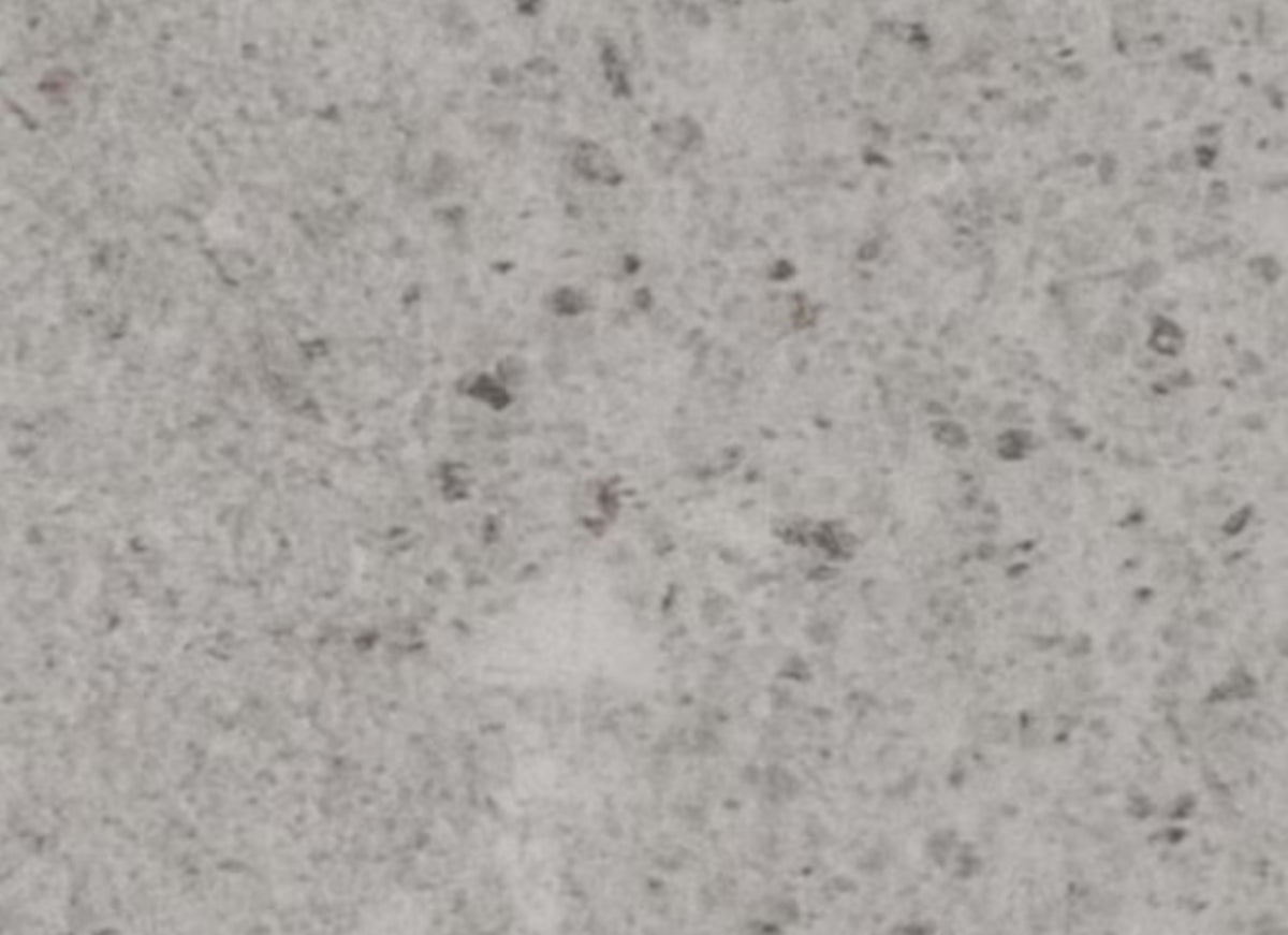 ProSeries - Loften - 6"x24" in Gravel Limestone