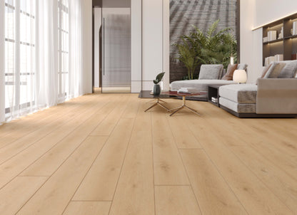 Indoor Delight in Forest Timber