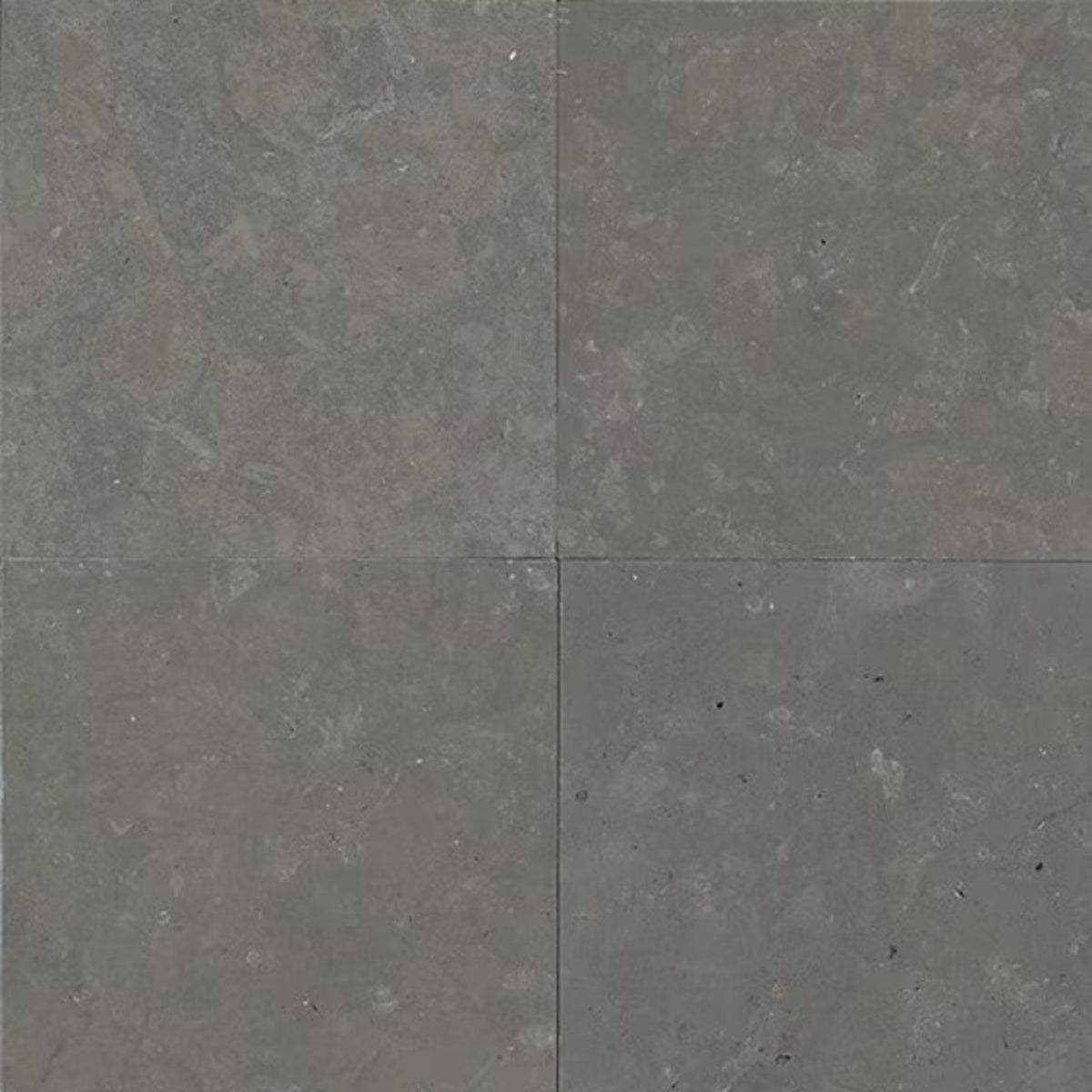 Limestone in Lagos Blue-12x24-Honed Natural Stone