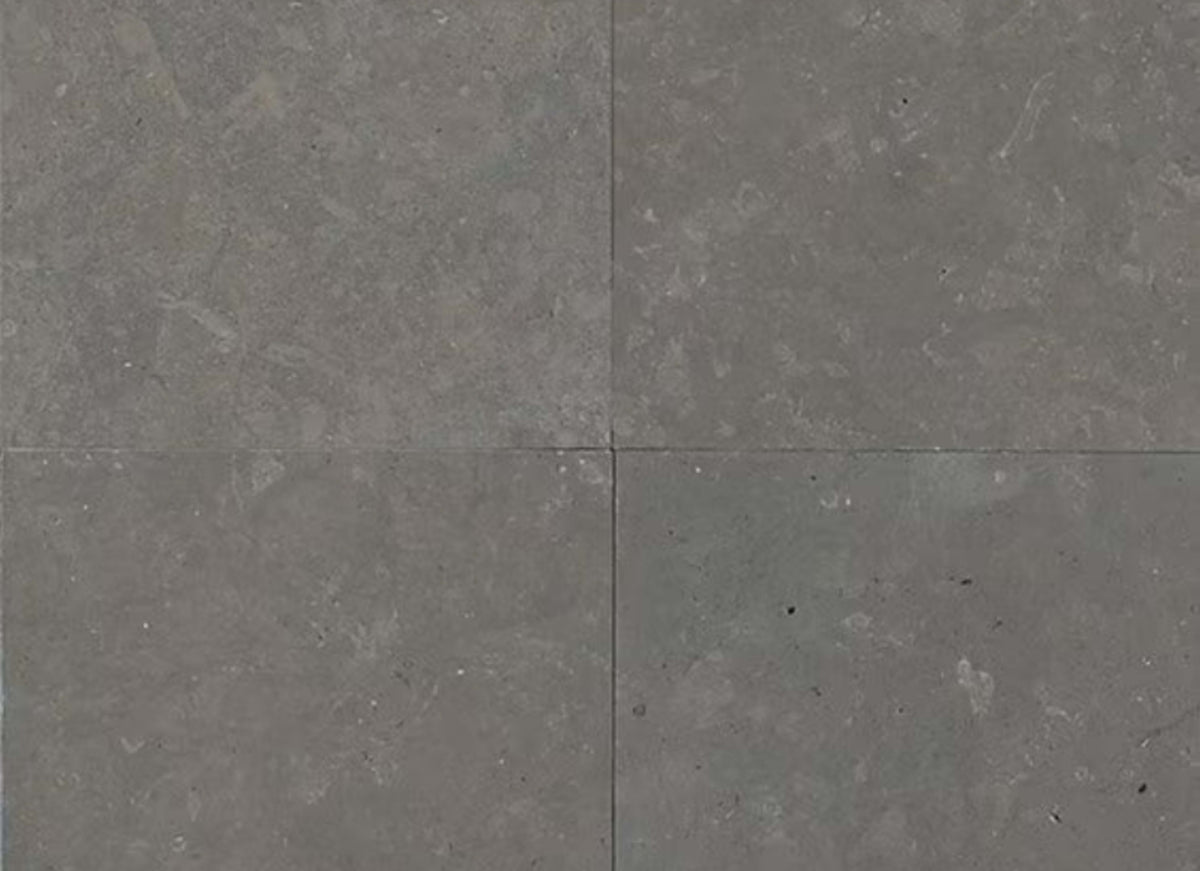Limestone in Lagos Blue-12x24-Leather