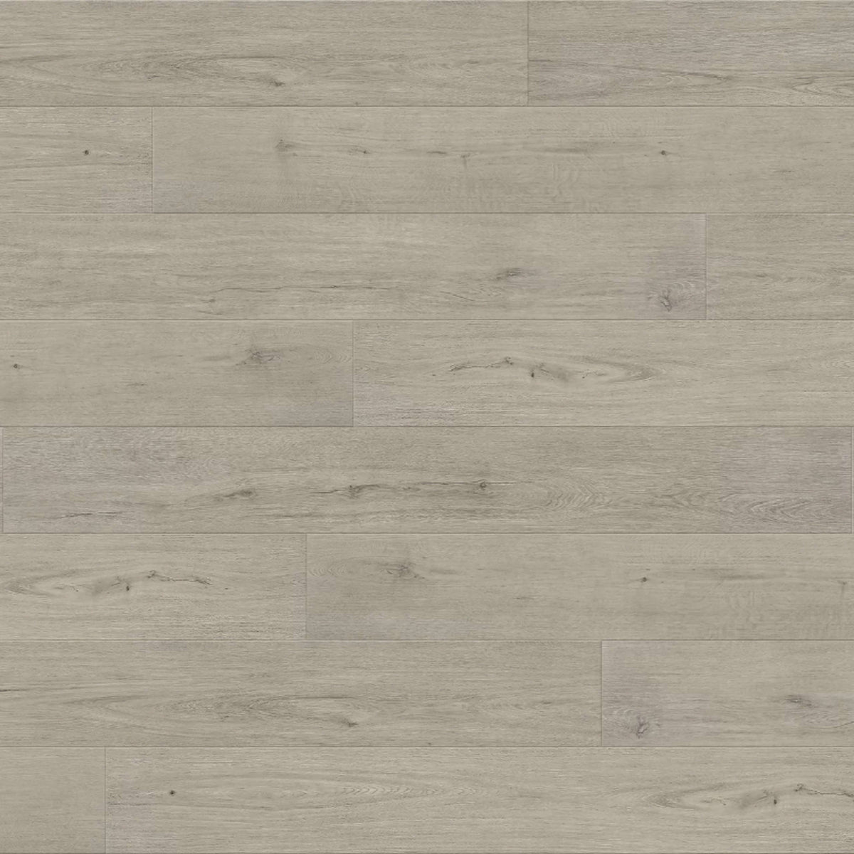 Odyssey in Calypso Laminate