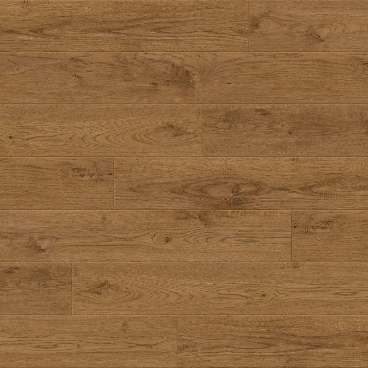 Odyssey in Contessa Laminate