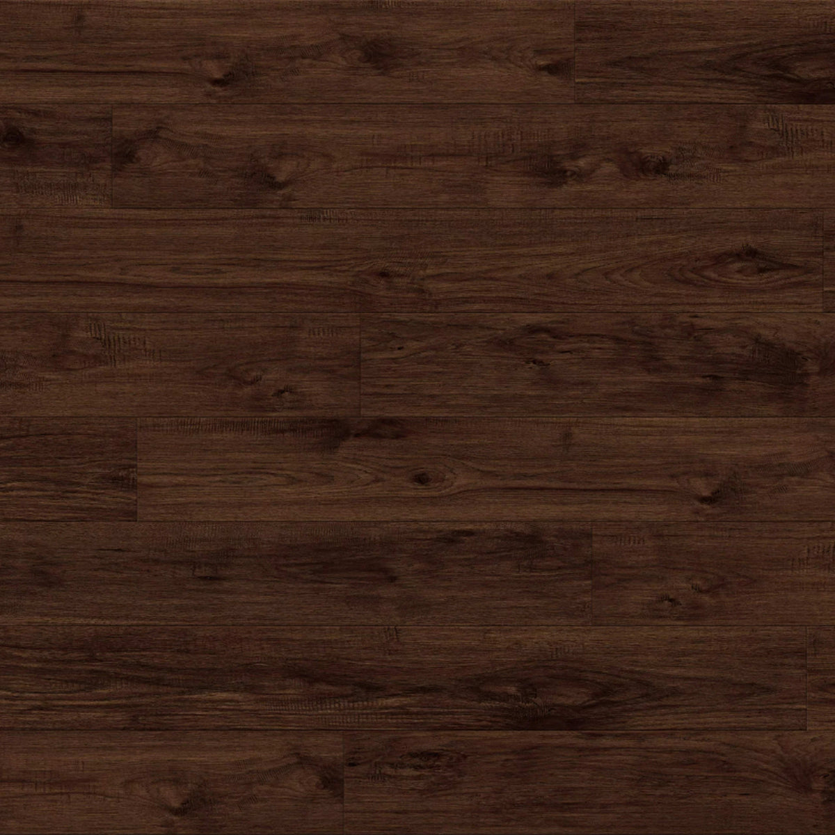 Odyssey in Nautilus Laminate