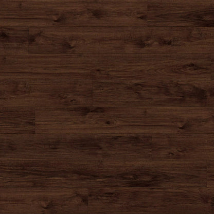 Odyssey in Nautilus Laminate