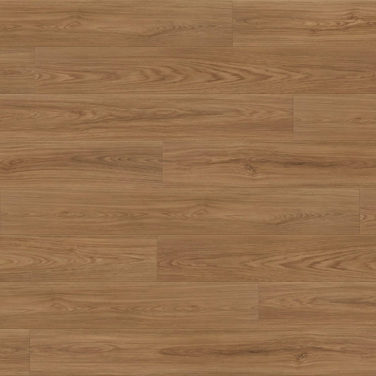 Odyssey in Resplendent Laminate