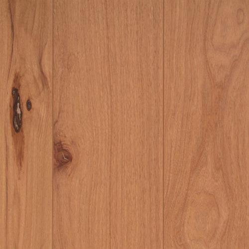 Longevity in Autumn Hardwood