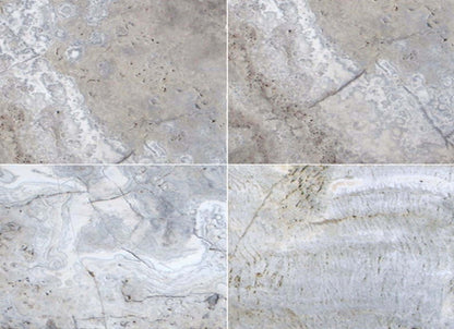 Silver Travertine in Gray-Light 16x16