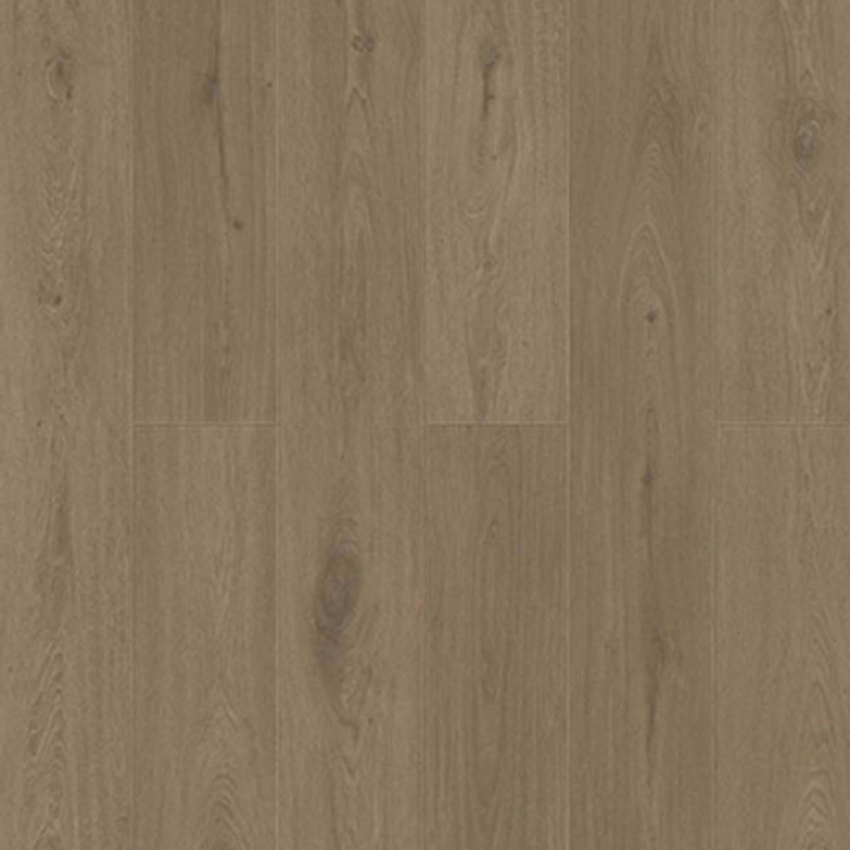 Pacific Vineyard in Arroyo Laminate
