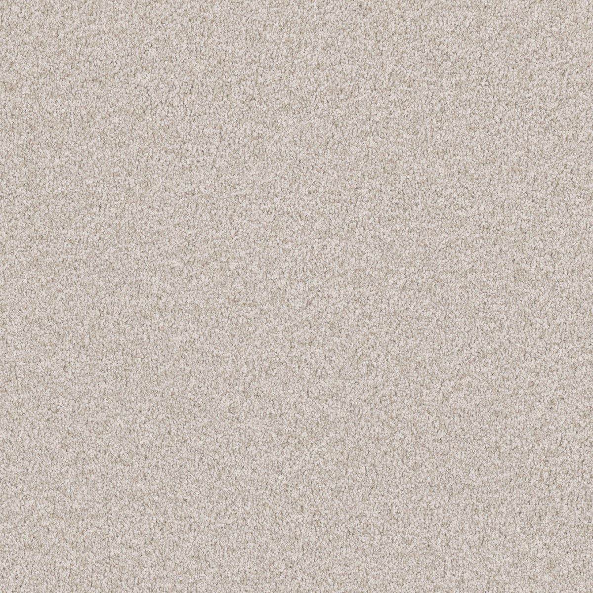 Luxury Suite in Pearl Drop Carpet