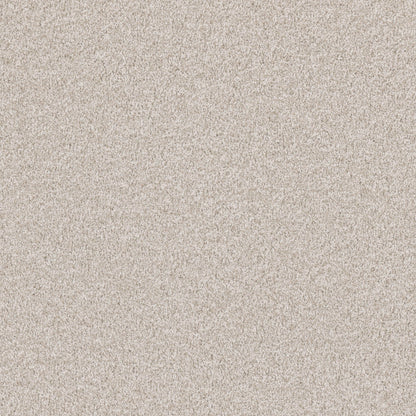 Luxury Suite in Pearl Drop Carpet