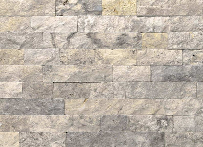 Silver Travertine in Gray-Light Sf