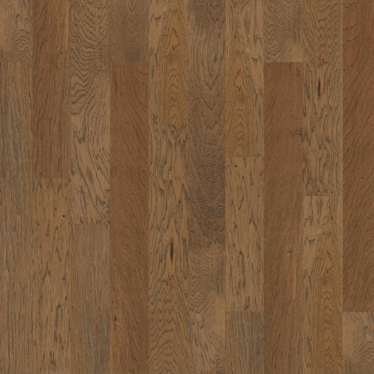 Lampasas in Balcones Hardwood