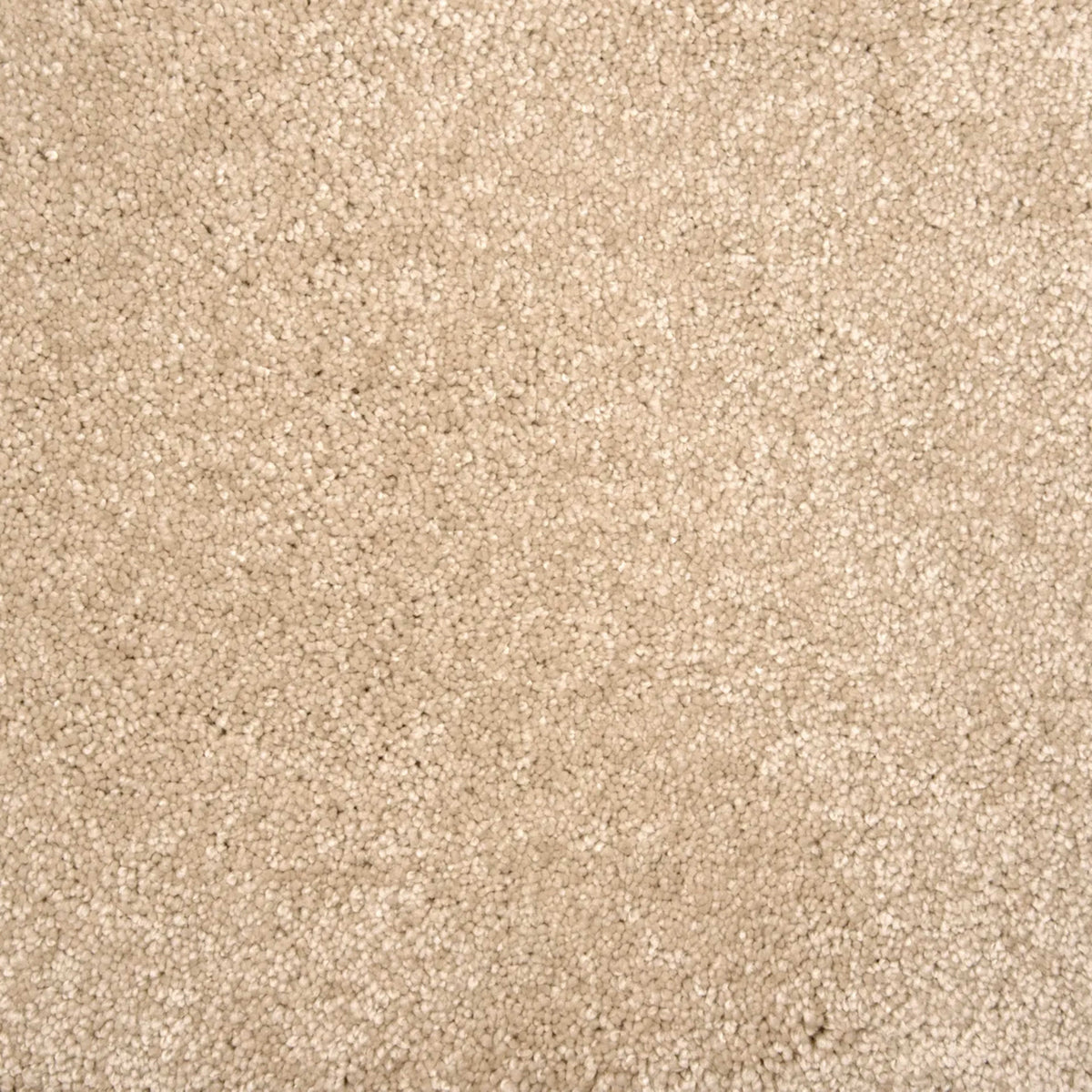 Lancelot in Sand Dollar Carpet