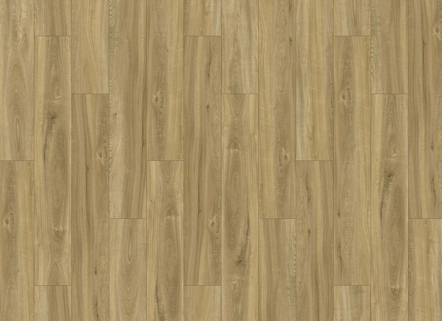 Innovious - Perceptions in Landry Elm