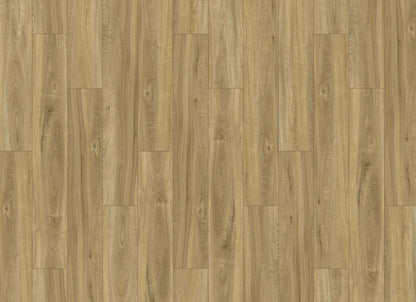 Innovious - Perceptions in Landry Elm