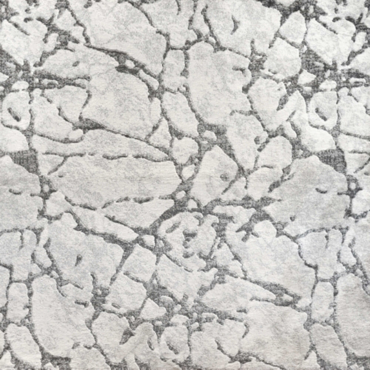 Latest in Whitestone Carpet
