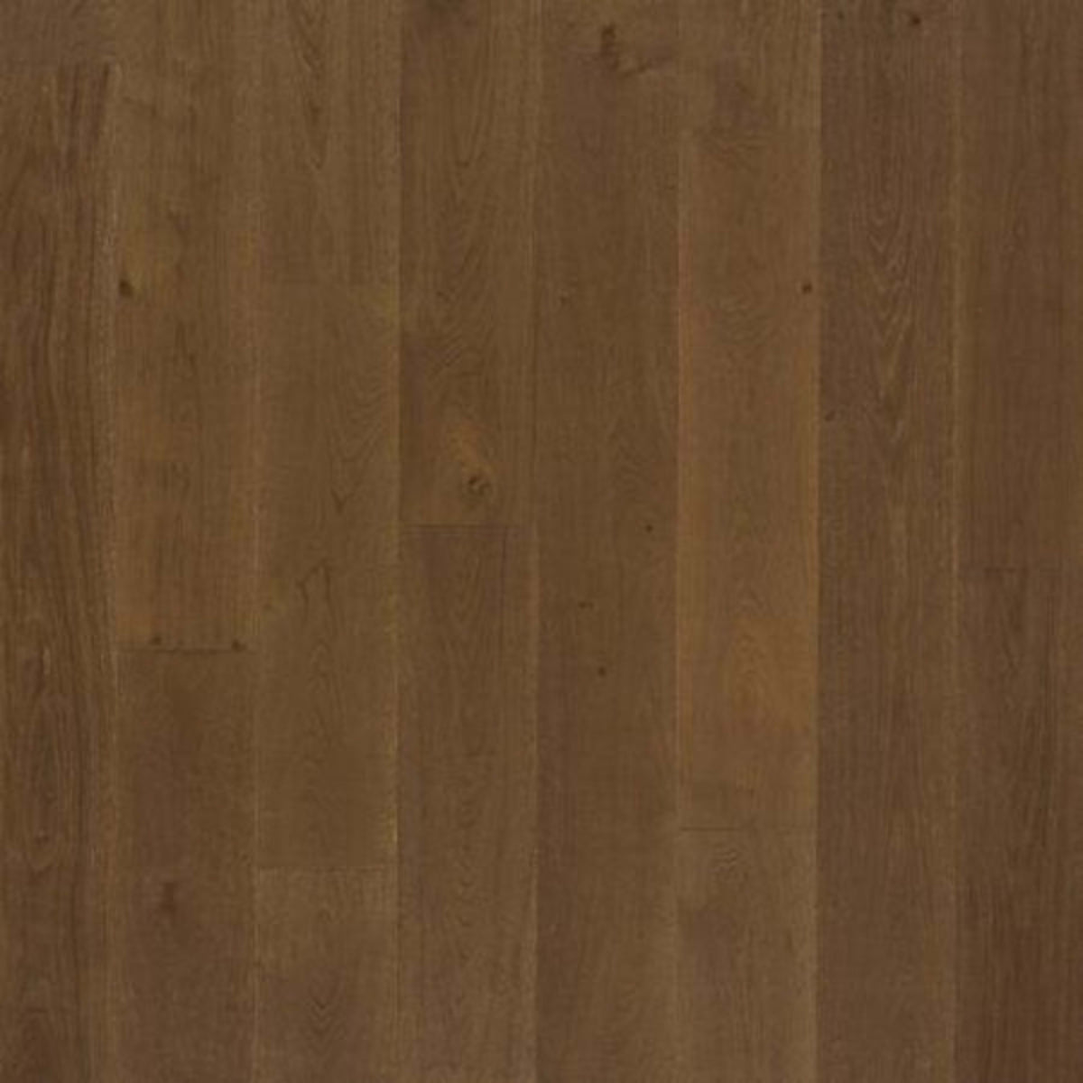 PremierLux in Lavish Oak Luxury Vinyl
