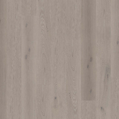 Global Winds in Levante Hardwood