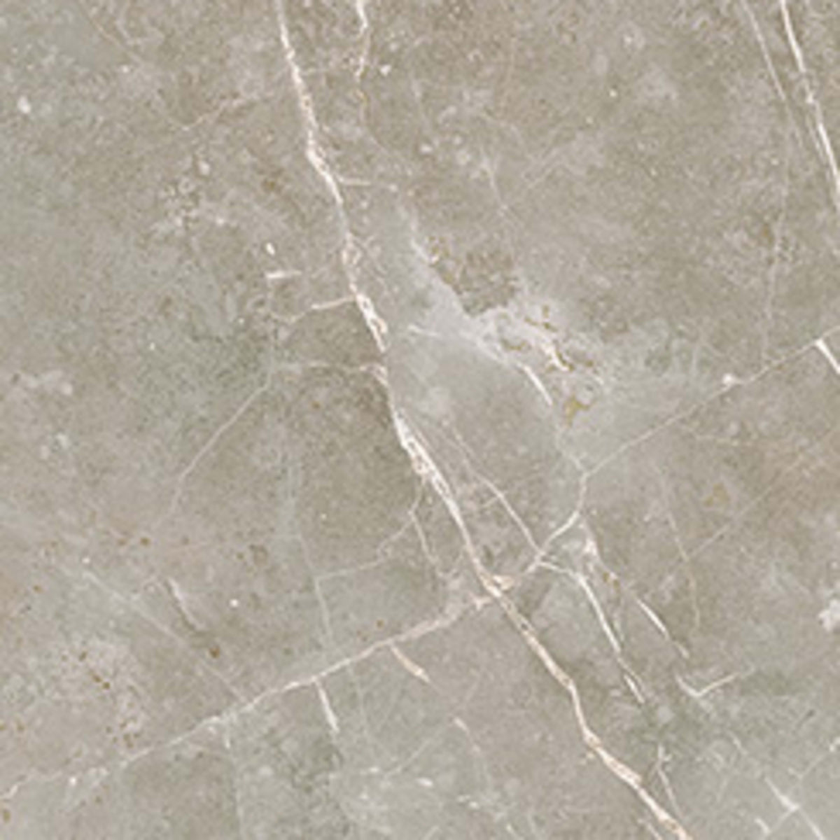 Liberty in Franklin Gray 12x24 Tile